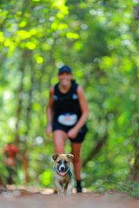 BIB: 
                            <button type="button" onclick="openModal(19014444)" class="btn btn-primary btn-sm float-right btn-popup" data-toggle="modal" data-target=".modal-high-quality">
                        <i class="fas fa-shopping-cart"></i> Add to Cart
                    </button>
                                            <button type="button" onclick="isThisMe(19014444, true)" class="btn btn-success btn-sm float-right btn-popup btn-isme hidden" data-toggle="tooltip" data-placement="bottom" title="นี่คือรูปของคุณใช่ไหม คลิกที่นี่เพื่อเอาเข้าอัลบั้ม">
                        <i class="fas fa-plus"></i> Add to album
                    </button>
                    <button type="button" onclick="isThisMe(19014444, false)" class="btn btn-warning btn-sm float-right btn-popup btn-isnotme hidden">
                        <i class="fas fa-ban"></i> Remove from album
                    </button>